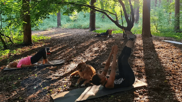 Bild 1 von inOutFit Berlin - Indoor Partnergalerie