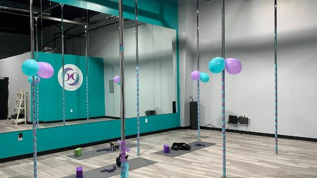 Image 1 from Prestige Pole and Movement partner gallery