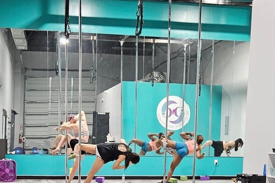 Image 3 from Prestige Pole and Movement partner gallery