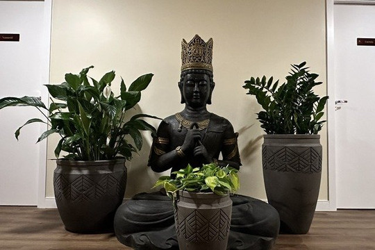 Imagem 1 da galeria do parceiro Buddha Spa Praça Panamericana
