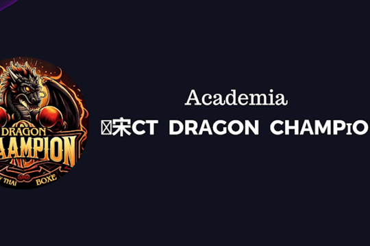 Imagem 2 da galeria do parceiro Academia CT Dragon champion