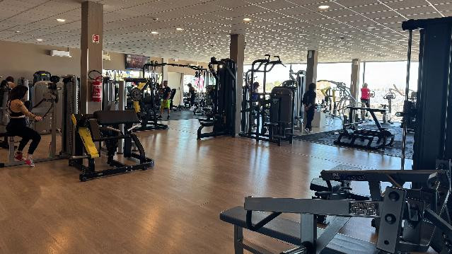 Immagine 1 dalla galleria del partner Palestra Venice Beach