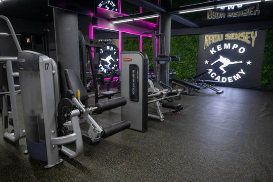 Imaginea 3 din Radu Sensey Academy galeria partenerului