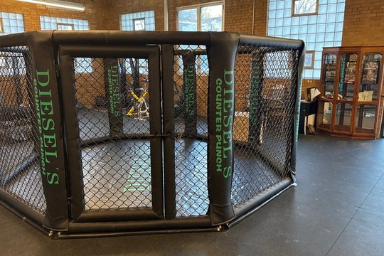 Image 3 from Diesel's Counter Punch MMA partner gallery