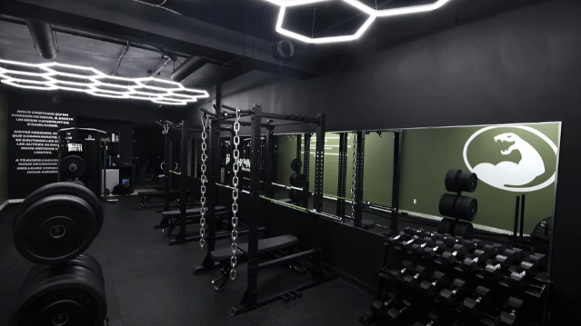 Image 3 de la galerie du partenaire Python The Gym