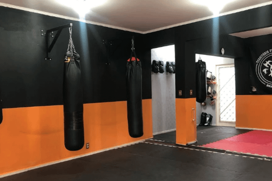 Imagem 1 da galeria do parceiro Território Fight Jardim Chapadão