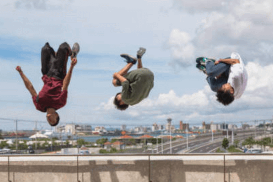 Immagine 1 dalla galleria del partner Hung Gar Team Parkour
