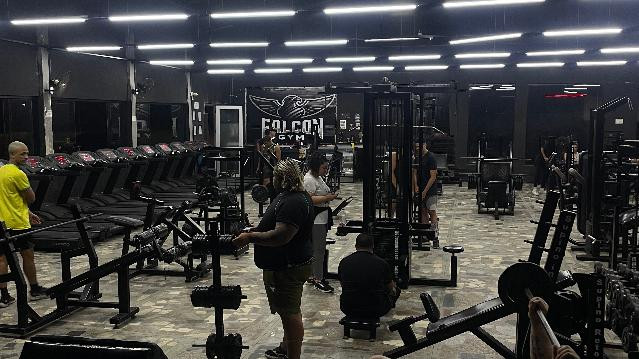 Imagem 1 da galeria do parceiro Falcon Gym