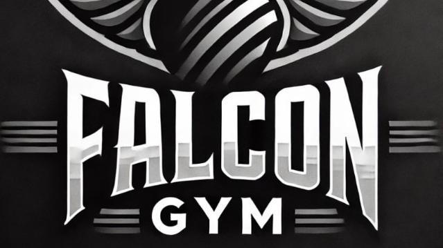 Imagem 2 da galeria do parceiro Falcon Gym