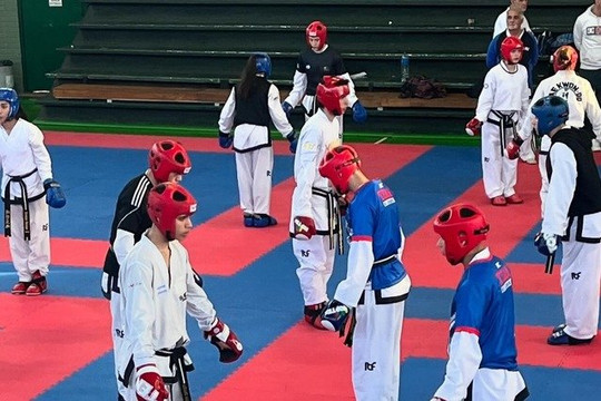 Imagen 2 de la galería del partner Escuela Integral de Taekwon-Do Maximiliano Noble