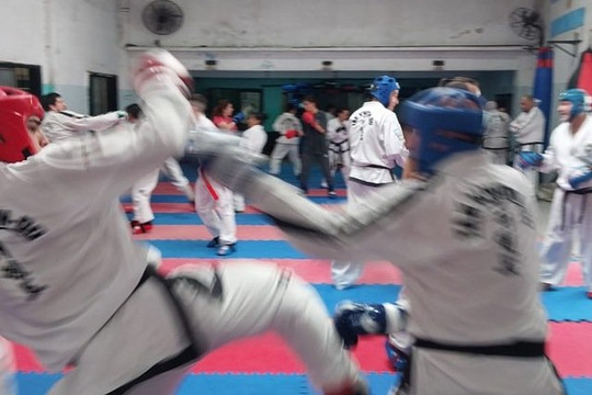 Imagen 3 de la galería del partner Escuela Integral de Taekwon-Do Maximiliano Noble