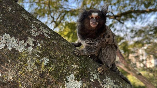 Imagem 3 da galeria do parceiro Kairós Spa - Casa