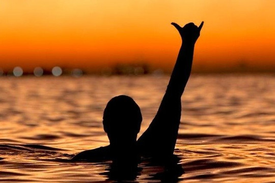 Imagem 3 da galeria do parceiro ALMAVIVA VA'A