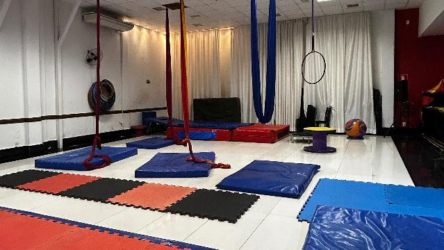 Imagem 1 da galeria do parceiro Arte e Circo