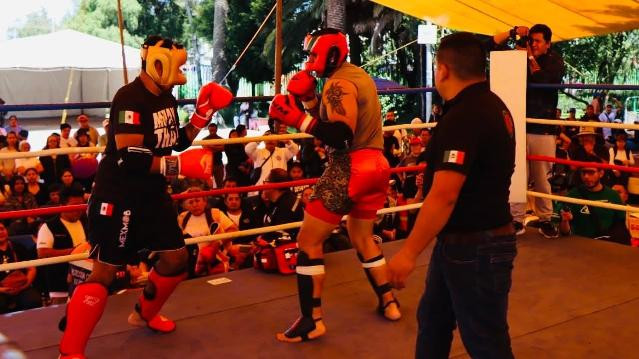 Imagen 1 de la galería del partner kick skull