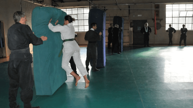 Immagine 3 dalla galleria del partner Yoshin Ryu - Sede SAN