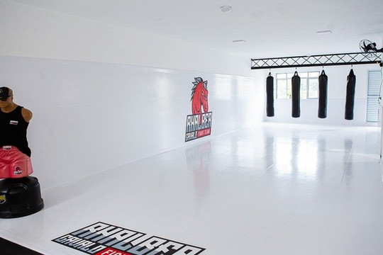 Imagem 1 da galeria do parceiro Rhalber Cavalo Fight Team