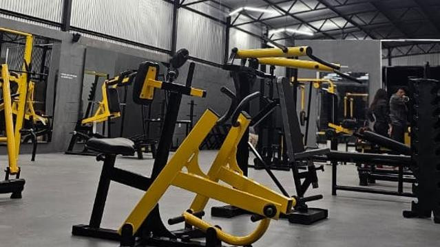 Imagem 2 da galeria do parceiro Moving Gold