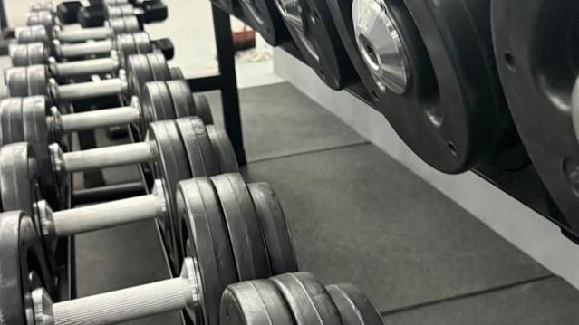 Imagem 3 da galeria do parceiro Moving Gold