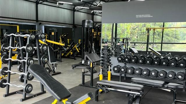 Imagem 1 da galeria do parceiro Moving Gold