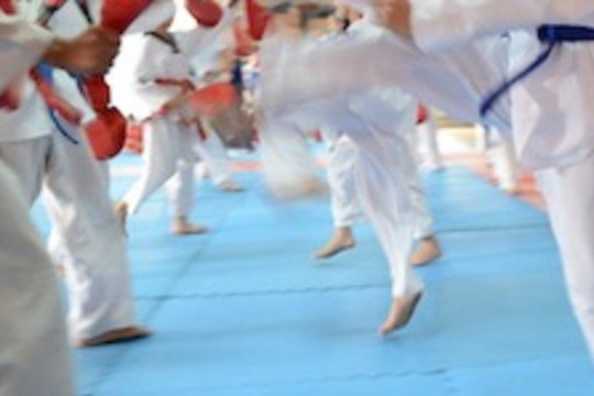 Image 3 from KJ TAEKWONDO partner gallery