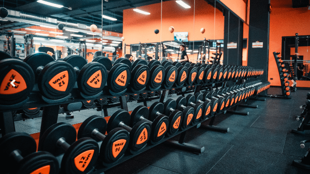 Immagine 3 dalla galleria del partner FitActive Verdellino