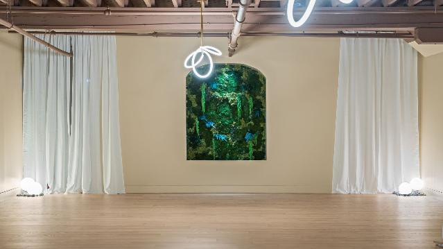 Image 1 from Luma Yoga & Wellness Studio partner gallery