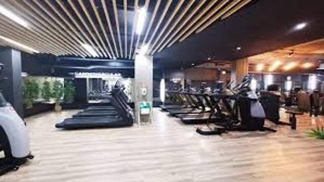 Imagem 1 da galeria do parceiro Balance Lumiar