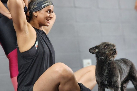 Imagem 1 da galeria do parceiro CT 019 Anonymous