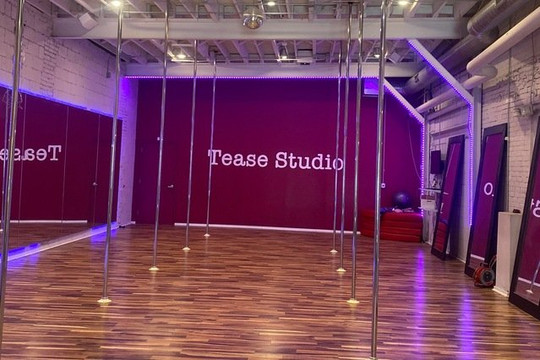 Image 1 from Tease Studio partner gallery