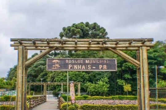 Imagem 2 da galeria do parceiro Roop Treinamento Bosque