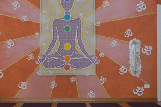 Immagine 2 dalla galleria del partner Centro Yoga L'albero della Gioia