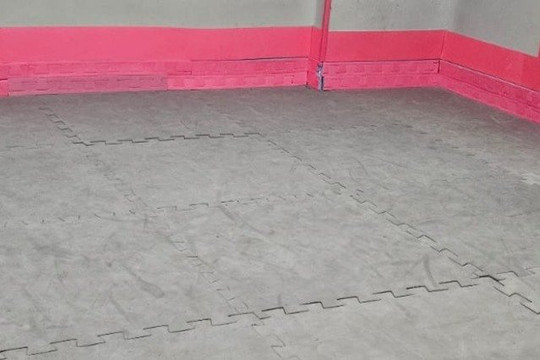 Imagem 3 da galeria do parceiro DS Escola de Artes Marciais