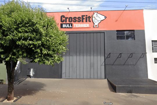 Imagem 2 da galeria do parceiro Bull Terrier Condicionamento Físico