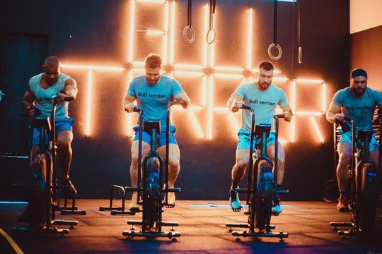 Imagem 3 da galeria do parceiro Bull Terrier Condicionamento Físico