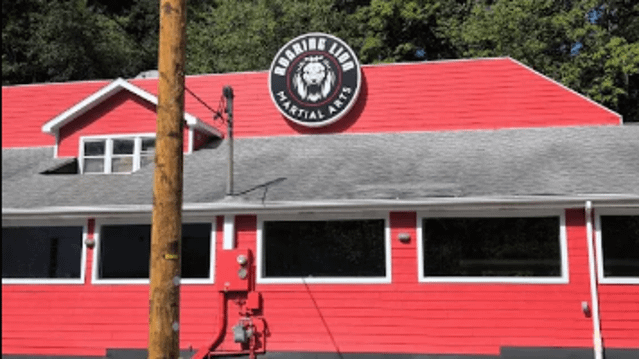 Image 2 from Roaring Lion Martial Arts partner gallery