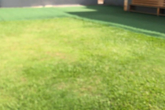 Imagem 3 da galeria do parceiro Espaço Reage