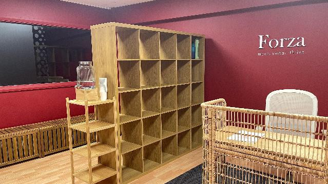 Image 2 from Forza Studio partner gallery