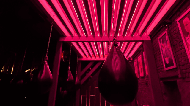 Bild 2 von CLUB ATHLETEN @ SHOWROOM Partnergalerie