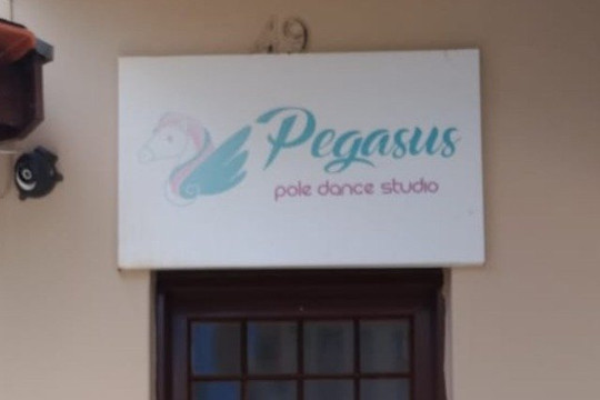 Imagem 2 da galeria do parceiro Pegasus - Pole Dance Studio