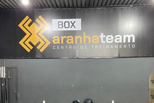 Imagem 2 da galeria do parceiro Box Aranha Team
