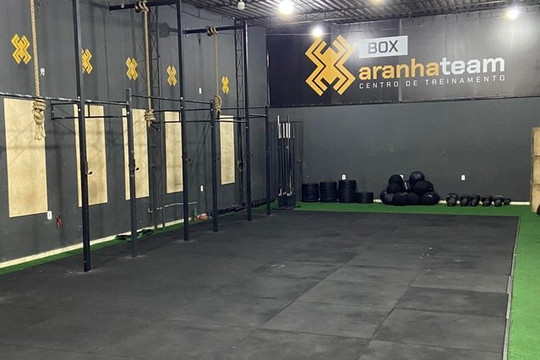 Imagem 1 da galeria do parceiro Box Aranha Team