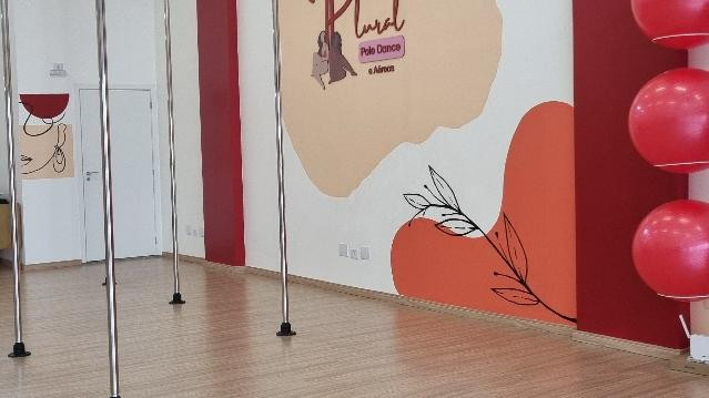 Imagem 3 da galeria do parceiro Estúdio Plural - Pole Dance