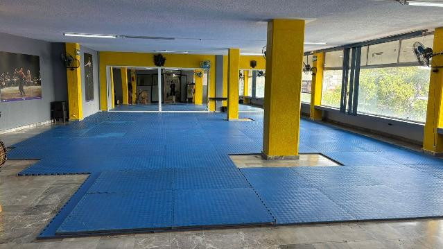 Imagen 1 de la galería del partner Academia de formacion Iridia Salazar Pasteur