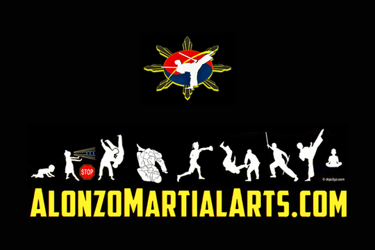 Image 1 from Alonzo Martial Arts partner gallery