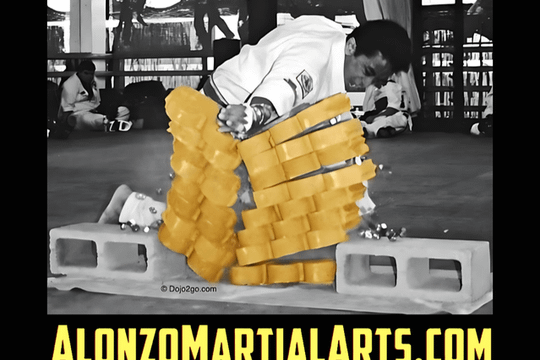 Image 3 from Alonzo Martial Arts partner gallery