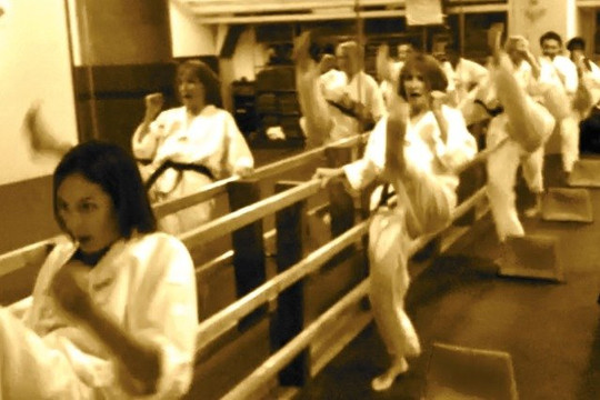 Image 2 from Alonzo Martial Arts partner gallery