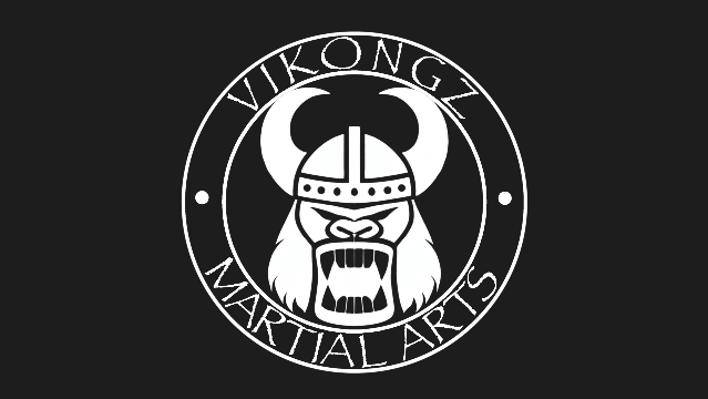 Bild 1 von ViKongz Martial Arts Partnergalerie