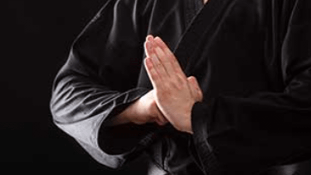 Image 3 from Glkenpo karate partner gallery