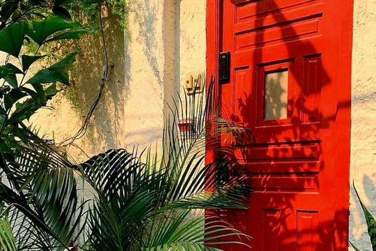 Imagem 2 da galeria do parceiro Gaia
